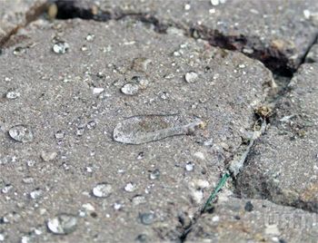 Советы по защите недостроев с помощью гидрофобизаторов