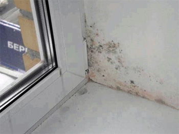 Гидроизоляция балкона